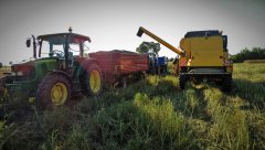 New Holland TC5070 & John Deere 5100M+ Zasław 8t & Pronar 82SA+ Metal-Fach 8t