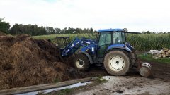 New Holland