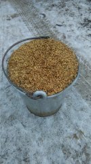 Pasza dla bydła i koni