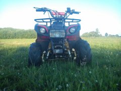 Quad ATV 110