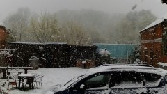 Śnieg