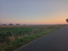 Unoszący się pył z kombajnów.