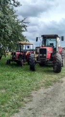 Ursus C-330 i Massey Ferguson 3095