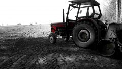 URSUS C-360 & Poznaniak