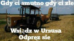 Ursus