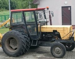 Ursus