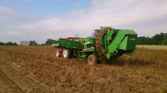 Wuhlmaus  644R Ursus c 360