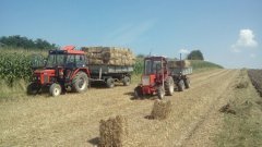 Zetor 3320, władimirec t 25, autosan d47 i d732