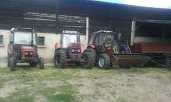 Zetor 7211 & 16145 & Belarus 952