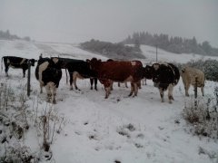 Zima zaskoczyła 12.10.2015