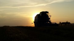 Żniwa przy zachodzie