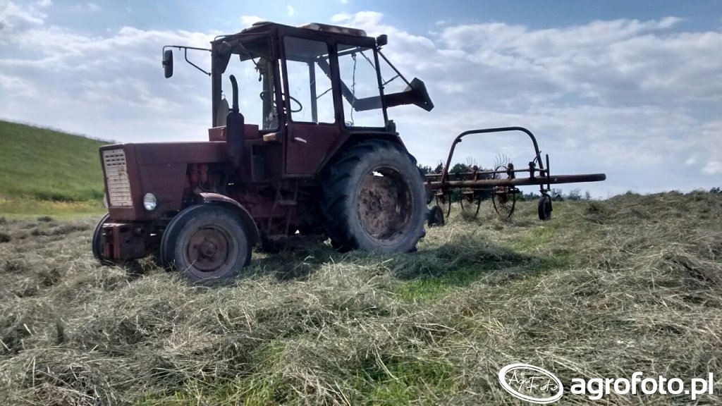 Zdjęcie ciagnik T-25 #582249 - Galeria rolnicza agrofoto