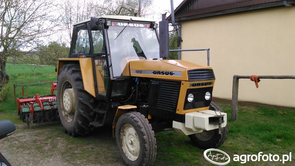 Zdjęcie traktor Ursus 1012 687468 Galeria rolnicza agrofoto