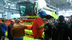 IMG_20150329_112244