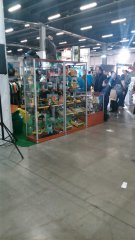 IMG_20150329_122047