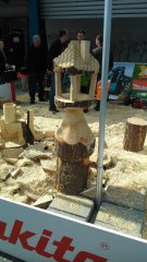 IMG_20150329_133223