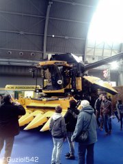 New Holland