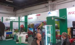 Targi AgroTech Kielce 2015 (662).jpg