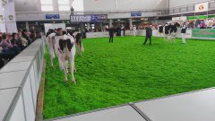 PHF ODMIANA HO 14-15 mies - czarno - białe i czerwono-białe