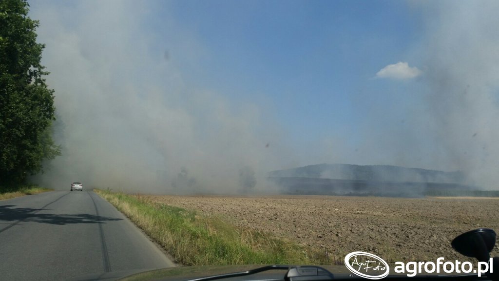 Pożar około 40 hektarów poszło z dymem