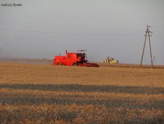 Bizon & Claas