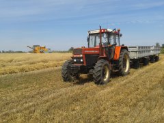 Bizon Z056 & Zetor 11211