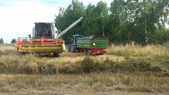 Claas Avero 160 & Pronar Zefir 85