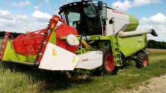 Claas avero 240