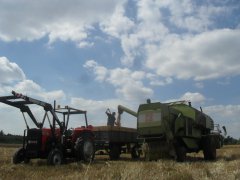 Claas Consul + Ursus 3512 + przyczepa