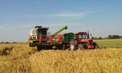 Claas Dominator 150 & Ursus1224 Metaltech