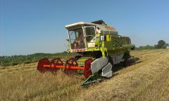 Claas Dominator 76