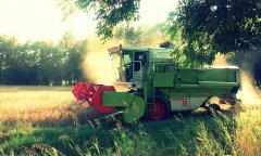 Claas Dominator 78s