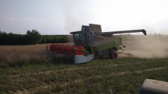 Claas Lexion 480