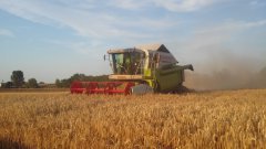 Claas Medion 310