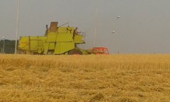 Claas Mercator 60