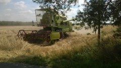 Claas Mercator