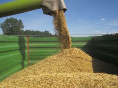 Claas Protector Owies