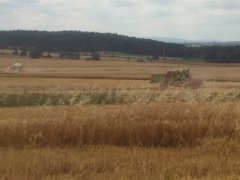 Claas