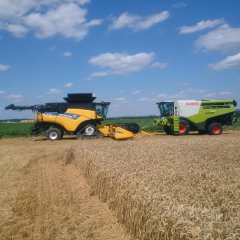 CR vs. Lexion