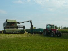 Fendt & Massey Ferguson