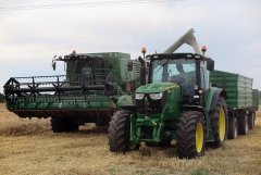 John Deere 6140r i John Deere 1470 - żniwa jęczmień