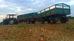 Massey Ferguson 255 & 2x 3,5T