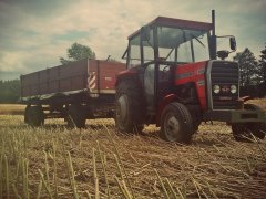 Massey Ferguson 255 + Brandys