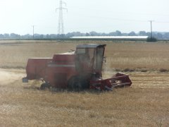 Massey Ferguson 330