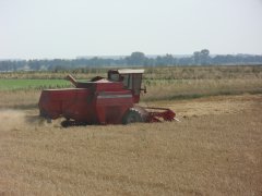 Massey ferguson 330