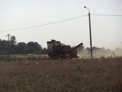 Massey ferguson 330