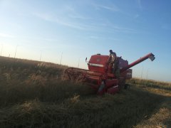 Massey Ferguson 487