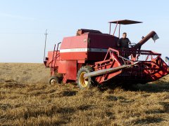 Massey Ferguson 487