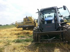 New Holland