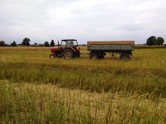 Ursus C360 + ruska przyczepa